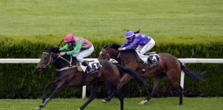 Apuestas en carreras de caballos, palanca para el crecimiento de los operadores latinoamericanos