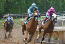 El Jockey Club Brasileiro reanuda sus carreras en mayo