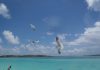 El gobierno de las Bahamas vendió el Grand Lucayan Resort