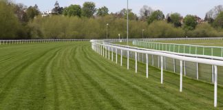 Exigen la reapertura del Hipódromo de La Plata
