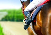 El Hipódromo de Gávea vuelve a operar con transmisiones internacionales