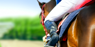 El Hipódromo de Gávea vuelve a operar con transmisiones internacionales