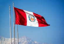 Golden Race se expande en Perú con AR Management