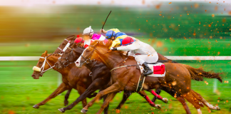 El Hipódromo de la Zarzuela retomó sus actividades ayer