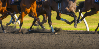 Panamá reanudará sus carreras de caballos y loterías