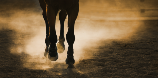Betsson negocia la transmisión internacional de carreras del Hipódromo do Cristal