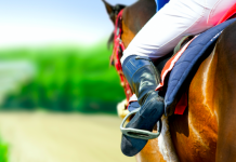 Jockey Club Brasileiro actualiza las modalidades de apuestas para las próximas carreras