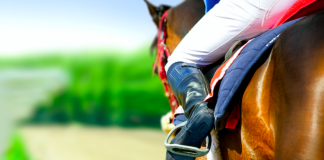 Betsson Brasil transmitirá internacionalmente las carreras del Hipódromo do Cristal