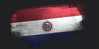 El Senado paraguayo no consigue los votos para interpelar al presidente de Conajzar