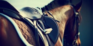 El Jockey Club de São Paulo obtiene el visto bueno judicial para evitar un impuesto en 2021