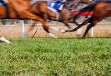 Sky Bet expande su oferta de carreras bajo un acuerdo con SIS