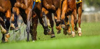 Presentan la edición 2021 del Longines Gran Premio Latinoamericano