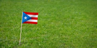 IGT PlaySports es anunciado como proveedor de servicios y tecnología de apuestas de WinIn en Puerto Rico