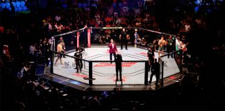 UFC nombra a Stake.com como socio oficial de apuestas en Brasil