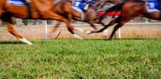 SIS le proporcionará contenido de carreras en vivo a Codere en Argentina