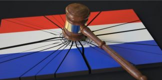 Cuestionan la falta de cambios en Conajzar y denuncian que no presentó el informe financiero exigido por ley conajzar paraguay informe financiero