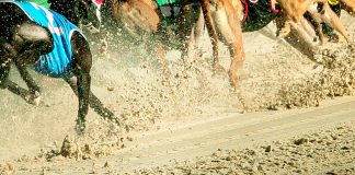 SIS le proporcionará contenido de carreras de galgos a bet365 en un acuerdo a largo plazo