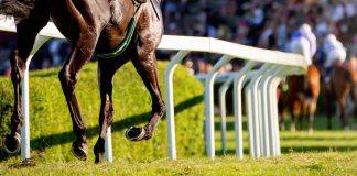 total performance data gran premio latinoamericano