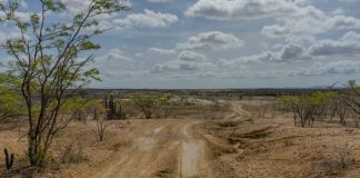 Fecoljuegos posibilidad Las Vegas Guajira