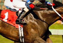 SIS le proveerá contenido multinacional de carreras a Loyalbet