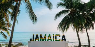 Jamaica: BetMakers anuncia el lanzamiento de apuestas de cuotas fijas en Caymanas Park Jamaica
