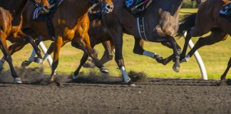 SIS lleva su contenido de carreras en vivo a BetConstruct sis betconstruct