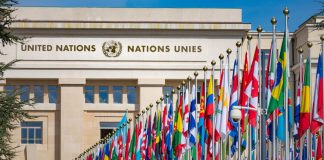 Betsson se une al Pacto Global de las Naciones Unidas Betsson Naciones Unidas