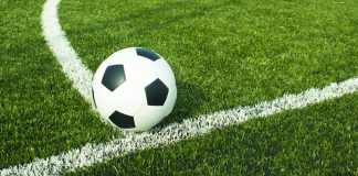 esportes da sorte investiación