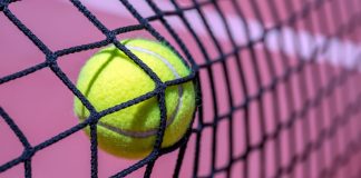 IBIA registró solo 8 alertas de apuestas sospechosas en Latinoamérica en el tercer trimestre apuestas