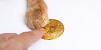 criptomonedas sbc summit barcelona