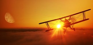 aviator