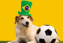 Loterj presenta a la quinta plataforma de apuestas regulada de Río de Janeiro, Rio Jogo loterj rio jogo