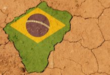 El Banco Central de Brasil detecta posibles fallas en el estudio sobre el gasto social en apuestas deportivas estudio