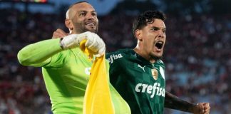 palmeiras