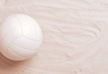 sportradar socio comercial confederación brasileña voley