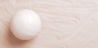 sportradar socio comercial confederación brasileña voley