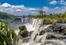 cibelae-iguazú