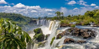 cibelae-iguazú