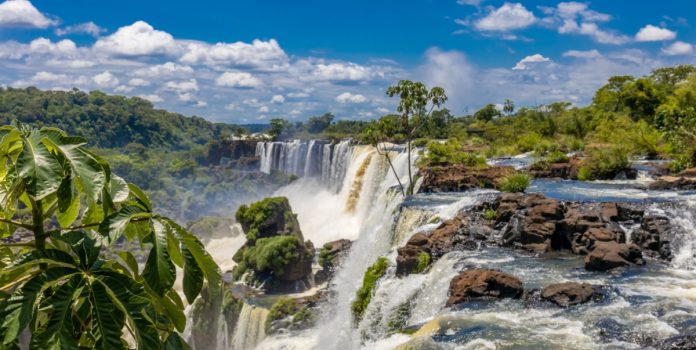 cibelae-iguazú