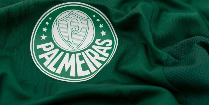 camiseta del palmeiras