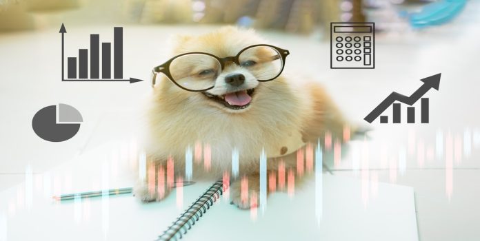 perrito evaluando acciones de la Bolsa de valores