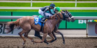 OddsMatrix lanza su solución propietaria para carreras de caballos OddsMatrix lanza su solución propietaria para carreras de caballos.