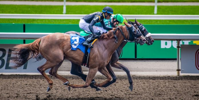 OddsMatrix lanza su solución propietaria para carreras de caballos.