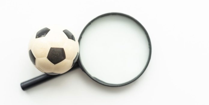 lupa apuntando a pelota de fútbol