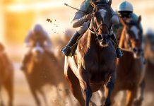 La inversión de Buenos Aires en el turf se evidenció durante el Gran Premio Dardo Rocha La inversión de Buenos Aires en el turf argentino se evidenció durante el Gran Premio Dardo Rocha.