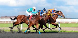 El Hipódromo de La Plata celebra el Gran Premio Dardo Rocha El Hipódromo de Palermo celebra el Premio Dardo Rocha