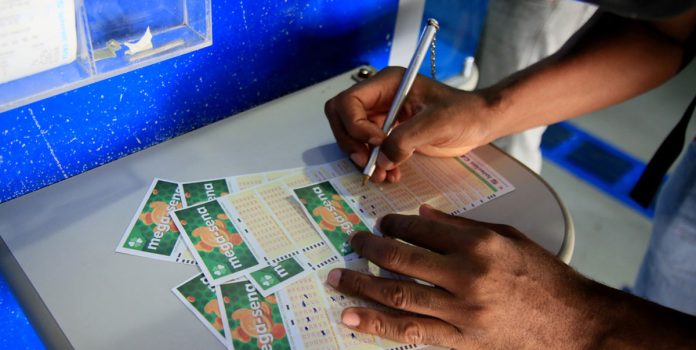 Loteria-SELAE España: Las pequeñas agencias de lotería exigen una regulación “urgente” de la venta online.