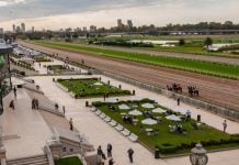 El Hipódromo de Palermo denuncia apuestas ilegales ante LOTBA Hipódromo de Palermo denuncia apuestas ilegales
