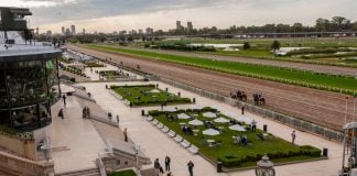 El Hipódromo de Palermo denuncia apuestas ilegales ante LOTBA Hipódromo de Palermo denuncia apuestas ilegales