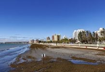 La 70ª Asamblea Extraordinaria de ALEA se realizará en Puerto Madryn.